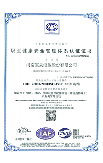 职业健康安全管理体系认证（中文）